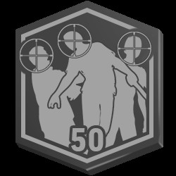 Achievement Icon